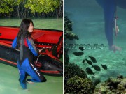 Лестница для лодки ПВХ "Южный бриз" Лестница для лодки ПВХ